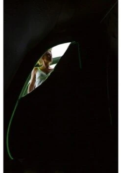 Coleman Weathermaster 8XL Air Tent -Adventure Camping Shop 2000035190 6 1