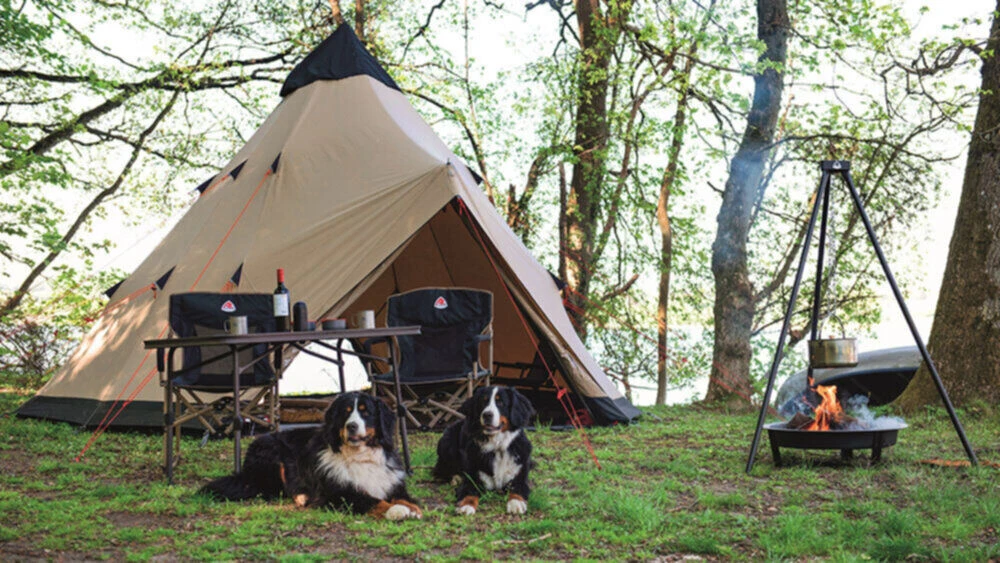 Robens Settler Chair 4 Robens Settler Chair - Image 2